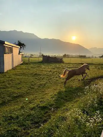 Photo de AH-Ranch