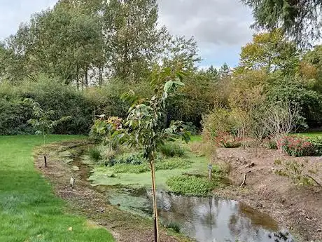 Bluebell Arboretum and Nursery
