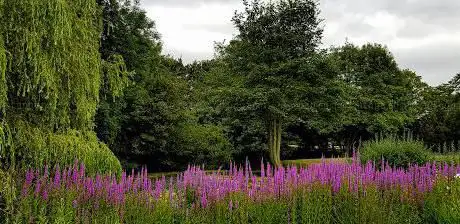 Photo de Morley Old Hall