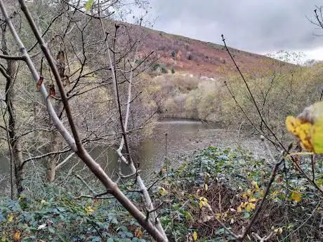 New Tredegar Fishing Lake