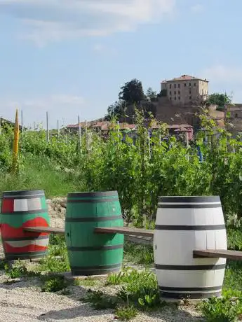 Strada del Castellinaldo barbera d'Alba