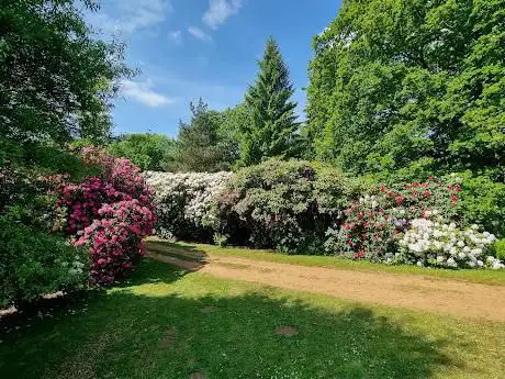 Photo de Bowood Woodland Gardens