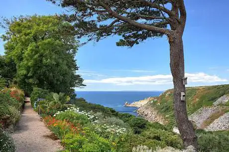 Photo de Chygurno Gardens