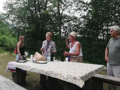 Area pic-nic 