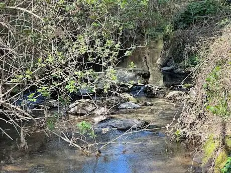 Photo de Parco di Turona