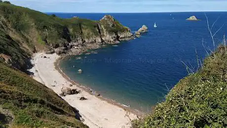 Photo de Plage de L'ile à Bois