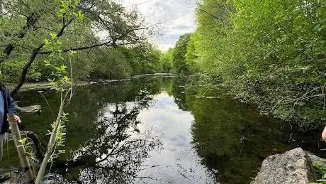 Photo de Cascade