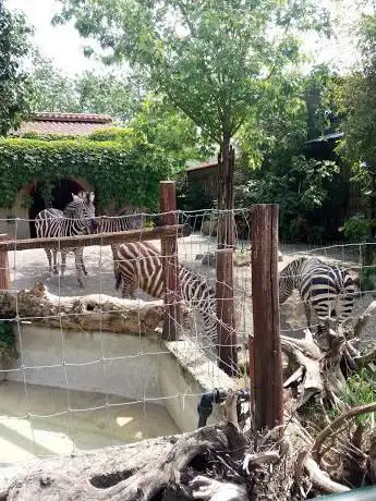 Photo de SivasZoo