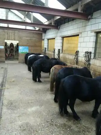 Jacky's Ponyhof