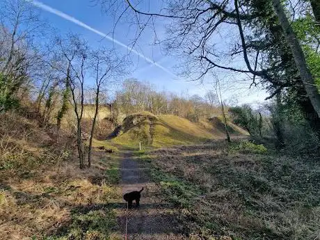 Photo de Bluebell Park