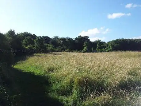 Photo de High View Field Harvestfield