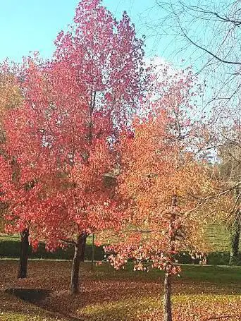 Photo de Parc Calonge