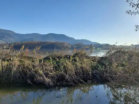 Photo de Lago Gherardesca