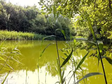 Photo de Fancott Woods and Meadows
