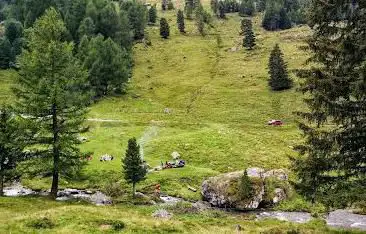 Picnic Area