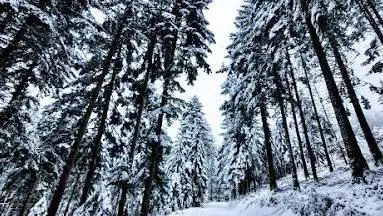 Lipple 1 Wanderrouten-Orientierungspunkt