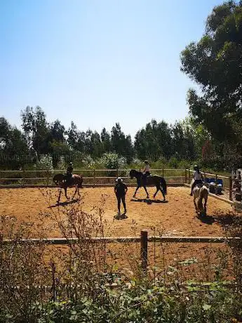 Photo de Cerro Lusitano - Escola de Equitação