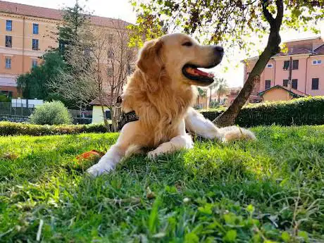 Parco di via diano calderina
