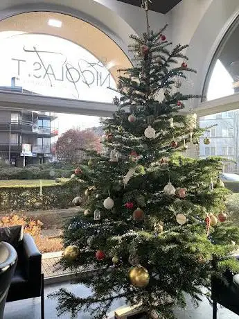 SapinBelge.be - Livraison de Sapin de Noël à Domicile partout en Belgique