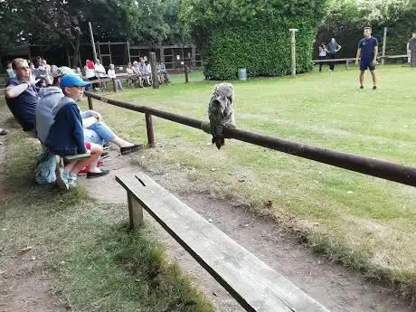 Photo de Liberty's Owl Raptor & Reptile Centre