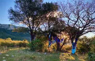 Photo de La Maison d'être, vallée de Tashunka Naturensoi ferme pédagogique