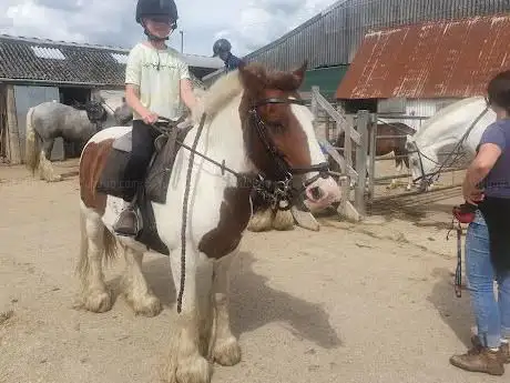 Bidlake Riding Stables