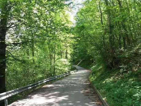 Photo de Foresta di Frisanco