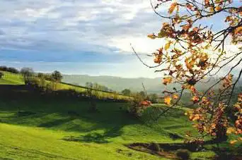 Parc naturel régional du Morvan