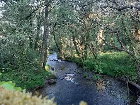Parque Comarcal de Codeseda