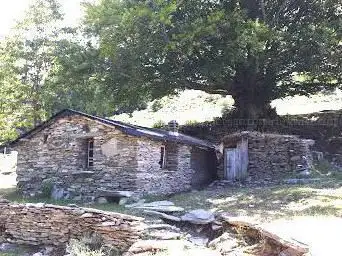 Calleruccio