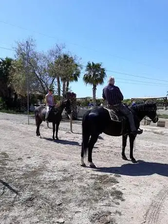 Photo de Hipica El Rancho Los Montesinos