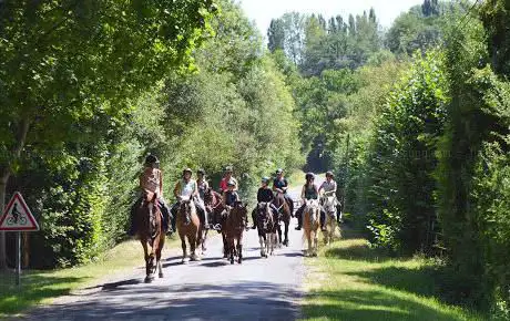 Les Écuries de Saint Victor