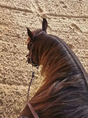 Photo de Jaykay Farm