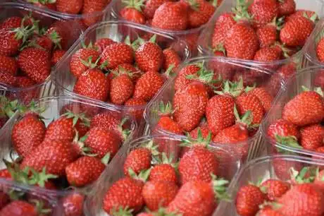 Photo de Fraises du Moun - Cécile - 40 000