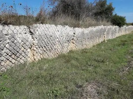 Photo de PARETE PINTO