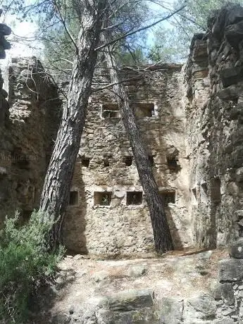 Photo de Torre de Can Ginestar