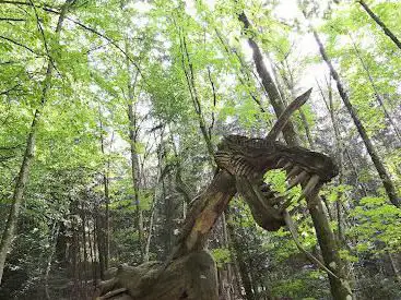 Wood sculptures park