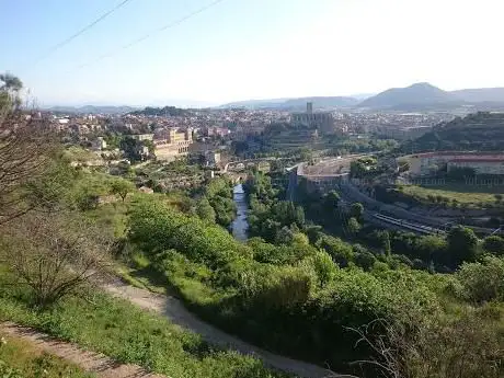 Photo de Dogfrisbee Manresa