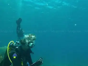 Mada Diving Martinique