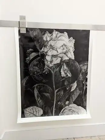 Photo de Phillida Reid