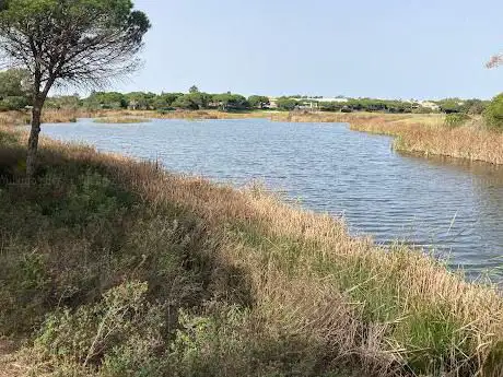 São Lourenço Bird Hide