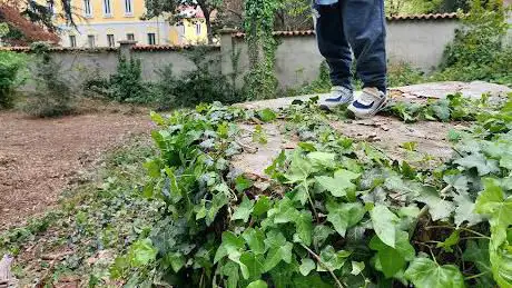 Bosco blu