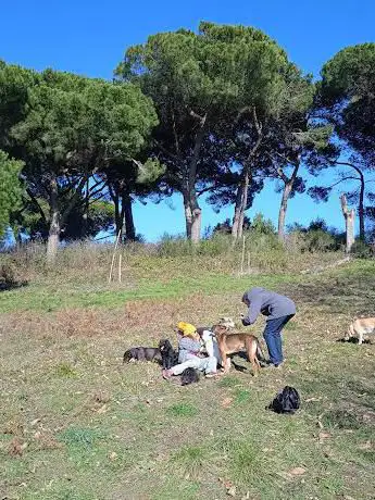 The Collepardo Park