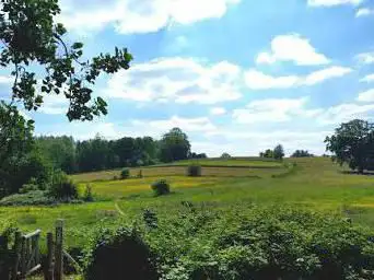 Steenbergse bossen - BAM