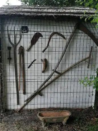 Photo de Jardin médieval des caves