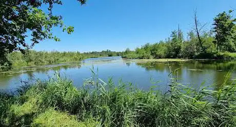marais de Fontenay le vicomte
