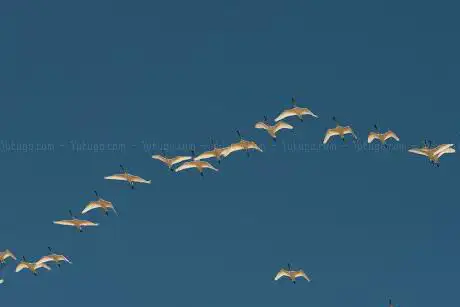 Torre Bermeja. Proyecto Limes Platalea-SGHN