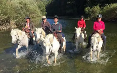 Mas du Sapin camargue.ch