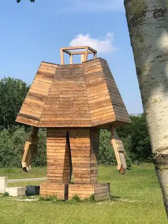 Cosmogolem (Koen Vanmechelen)