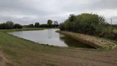 De nieuwe vijver